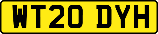 WT20DYH