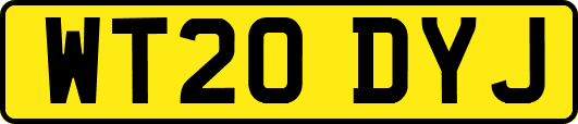 WT20DYJ