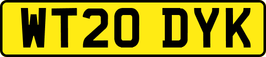 WT20DYK