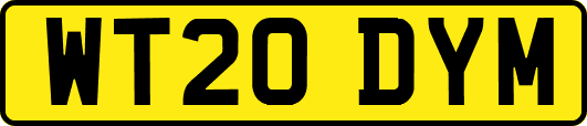 WT20DYM