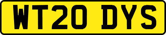 WT20DYS