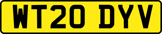 WT20DYV