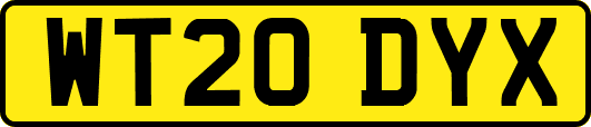 WT20DYX