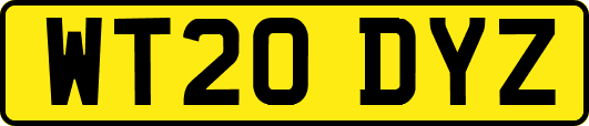 WT20DYZ