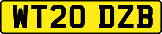 WT20DZB
