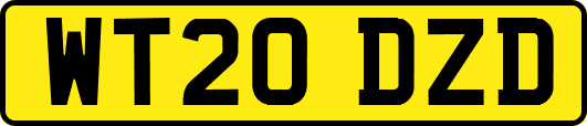 WT20DZD