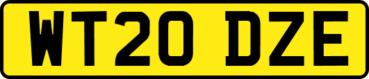 WT20DZE