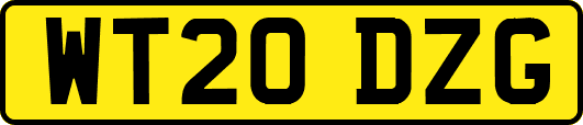 WT20DZG