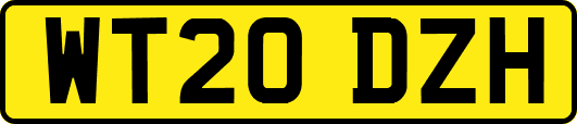 WT20DZH