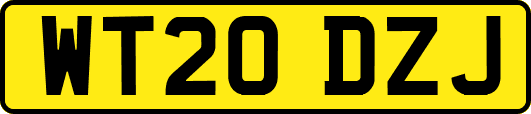 WT20DZJ
