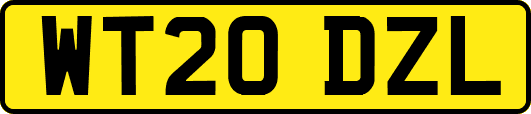 WT20DZL