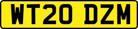 WT20DZM