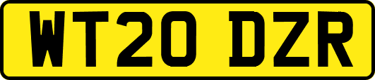 WT20DZR