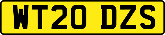 WT20DZS