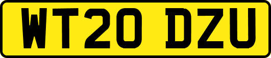 WT20DZU