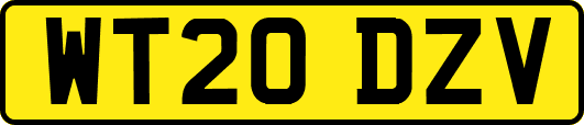 WT20DZV