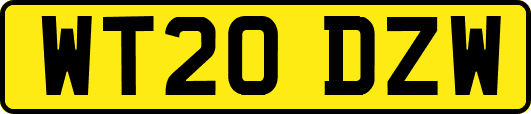 WT20DZW