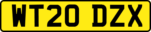 WT20DZX