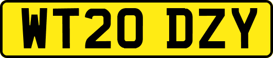 WT20DZY