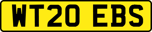 WT20EBS