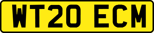 WT20ECM