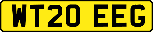 WT20EEG