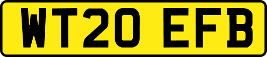 WT20EFB