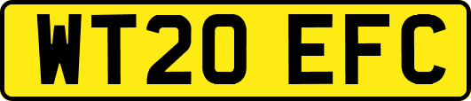 WT20EFC