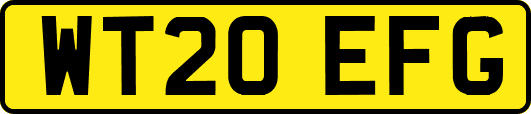 WT20EFG