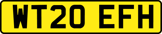 WT20EFH