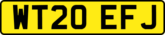 WT20EFJ