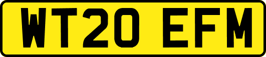 WT20EFM