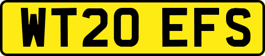WT20EFS