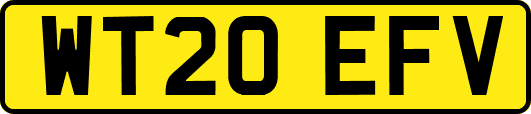 WT20EFV