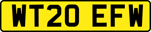 WT20EFW