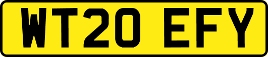 WT20EFY