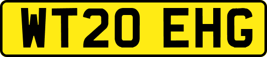 WT20EHG