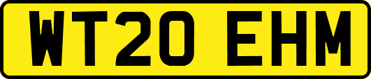 WT20EHM