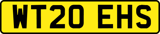 WT20EHS