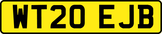 WT20EJB