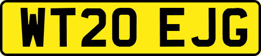 WT20EJG