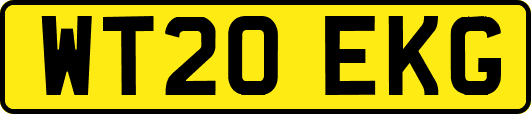 WT20EKG