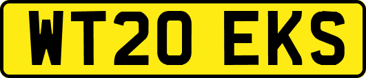 WT20EKS