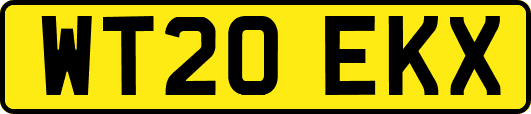 WT20EKX