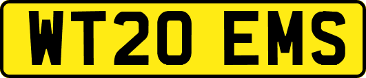 WT20EMS