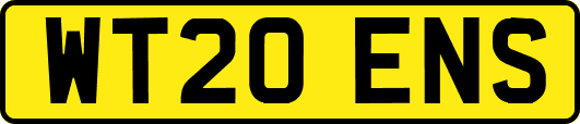 WT20ENS