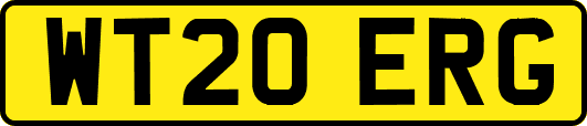 WT20ERG