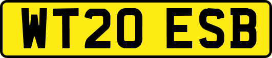 WT20ESB