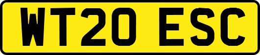 WT20ESC