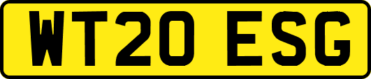 WT20ESG